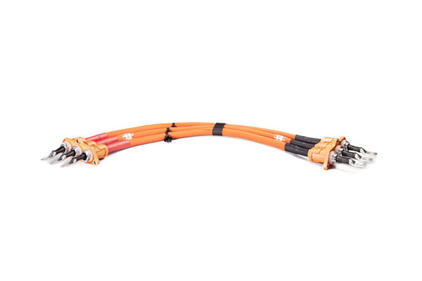 IPT connector wire Harness